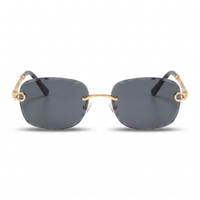 Gold with Dark Grey Lenses