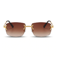Gold with Brown Gradient Lenses