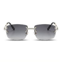 Silver with Grey Gradient Lenses
