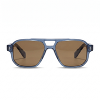 Blue with Tan Lenses