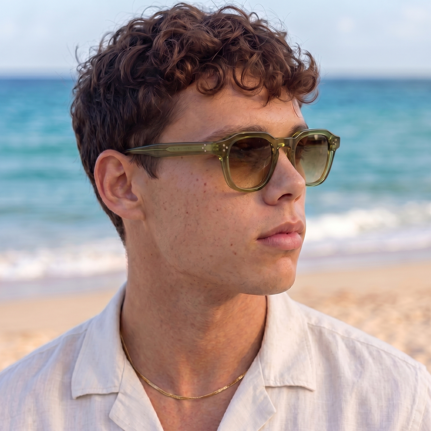 Hamptons Model